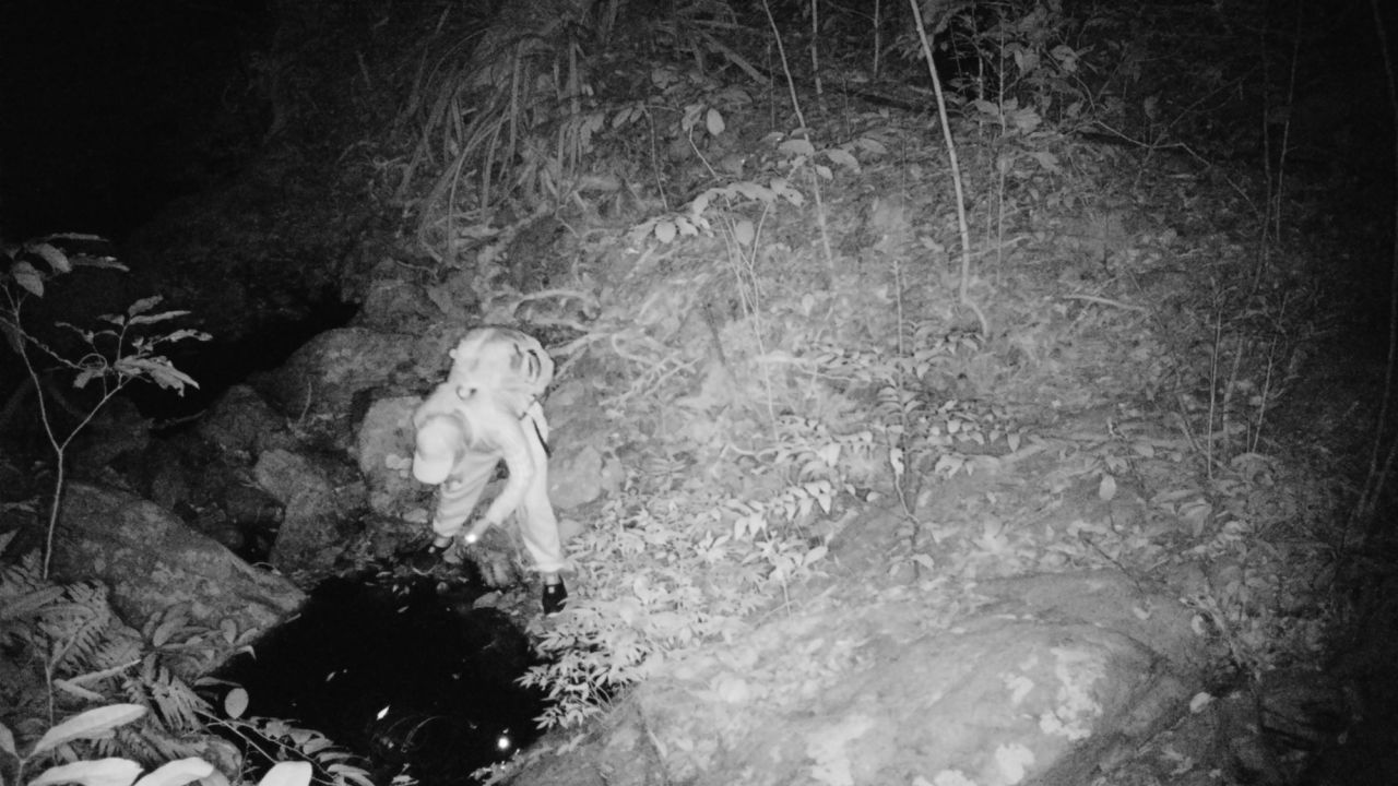 Un presunto cazador furtivo captado por una de las cámaras de vigilancia del profesor Sung Yik-hei.