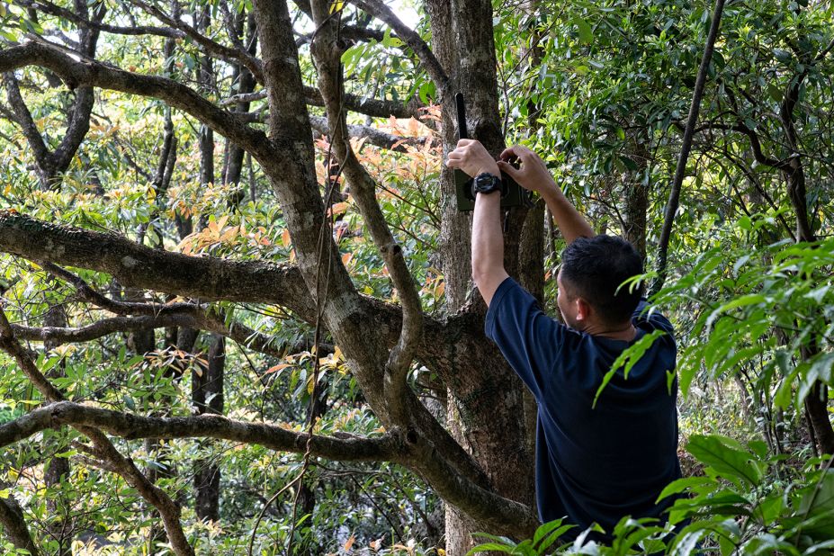 Professor Sung Yik-hei checks a surveillance camera fixed on a tree in Hong Kong on April 13, 2023.