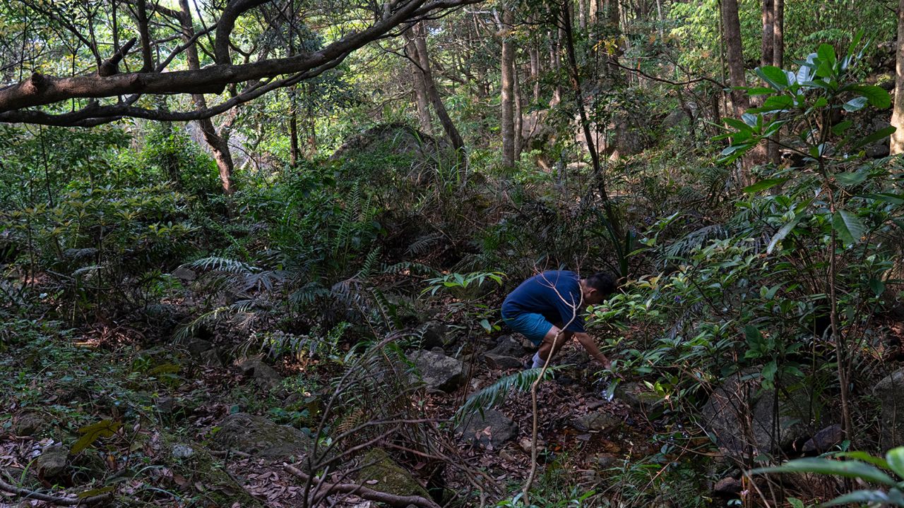 Professor Sung Yik-hei monitors an area near a river in Hong Kong on April 13, 2023.