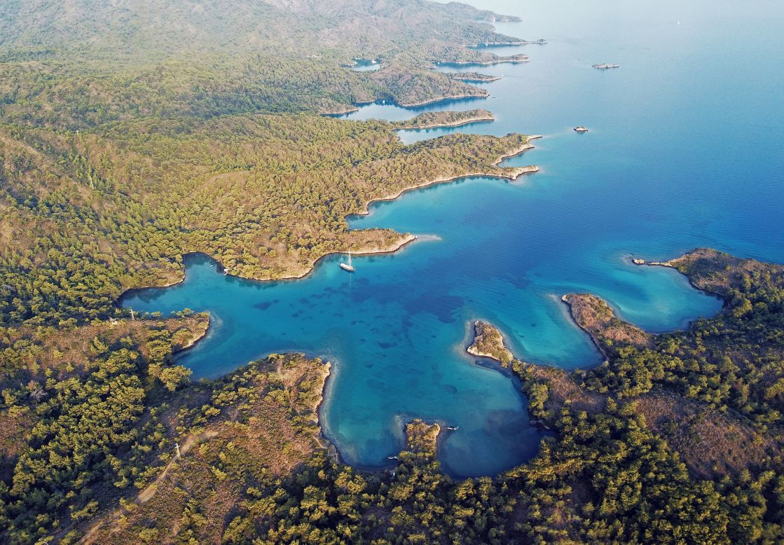 Gökova Bay lies at the center of Turkey's "Turquoise Coast," the Mediterranean shore on the southwest of the country. The area once teemed with underwater life, but overfishing, coastal development, climate change and other threats have damaged the marine ecosystem. 