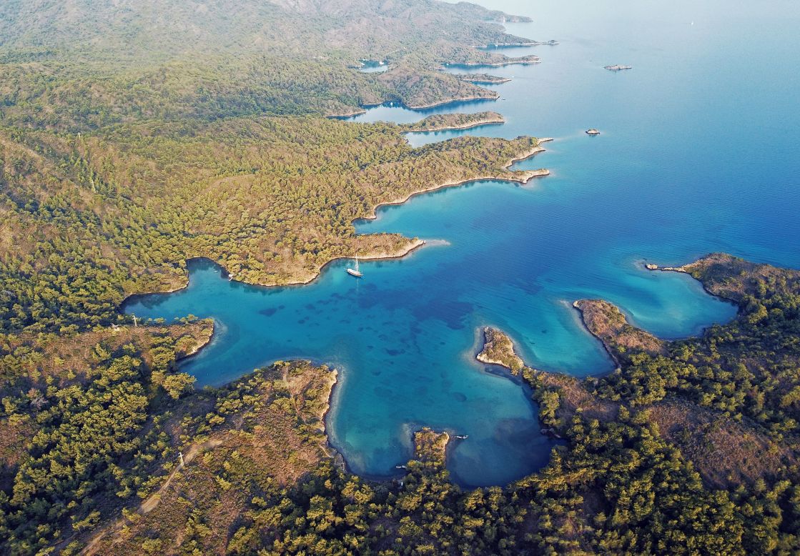 Gökova Bay lies at the center of Turkey's "Turquoise Coast," the Mediterranean shore on the southwest of the country. The area once teemed with underwater life, but overfishing, coastal development, climate change and other threats have damaged the marine ecosystem.