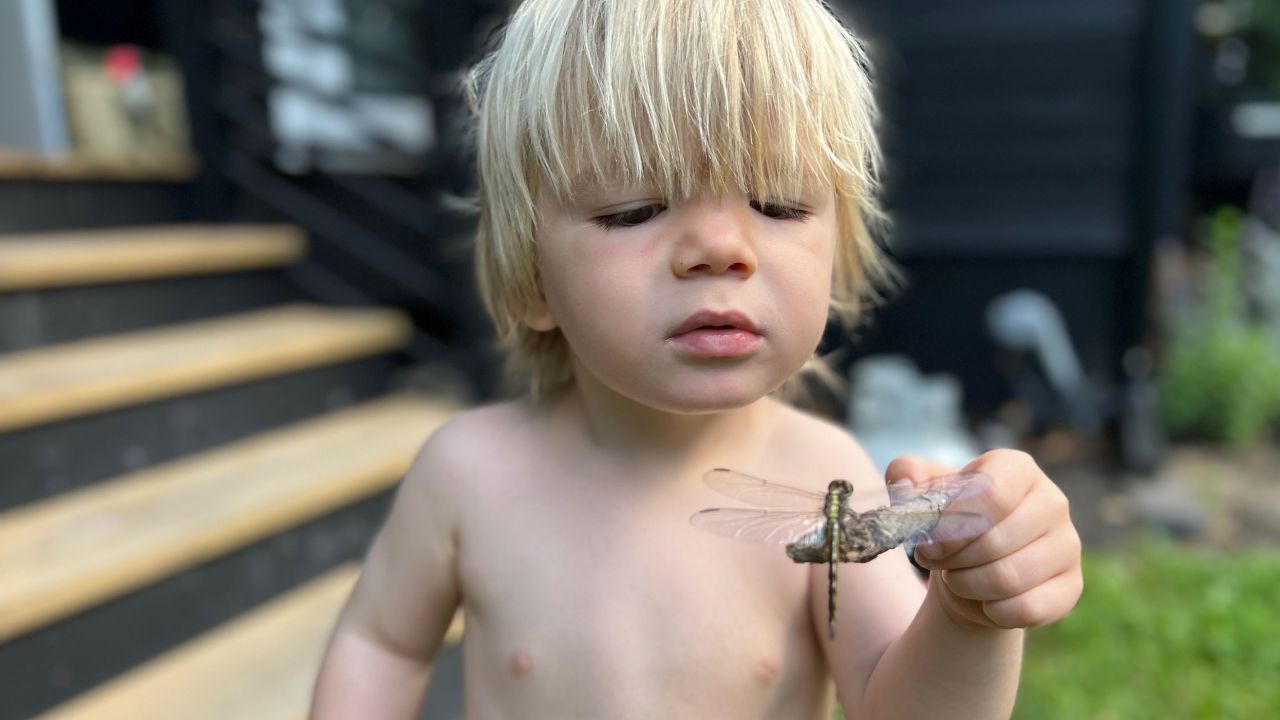 River Weir examines a dragonfly.