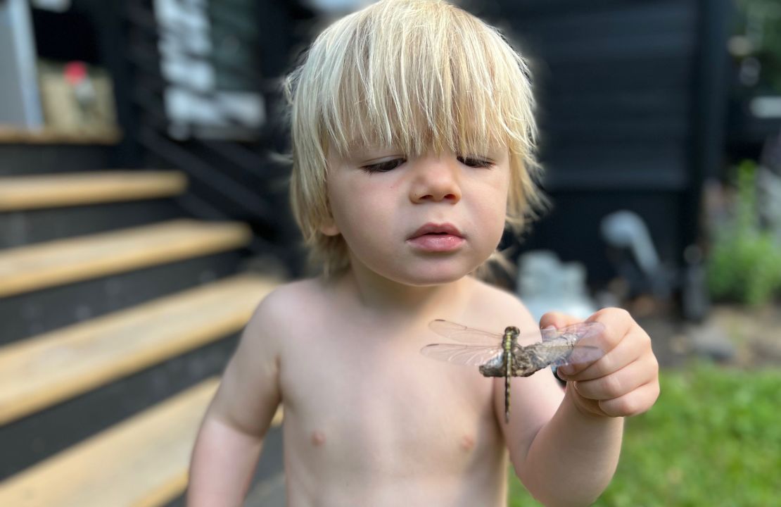 River Weir examines a dragonfly.