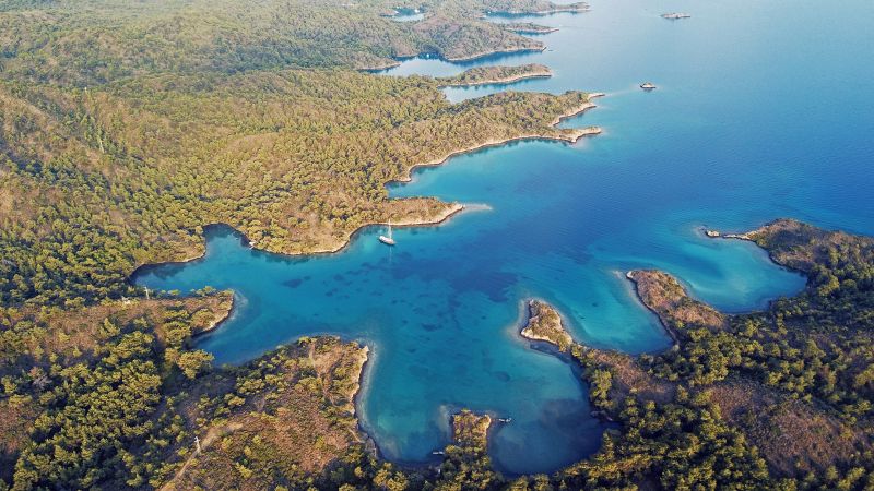 NextImg:Environmental hero's mission to save the most over-fished sea in the world | CNN