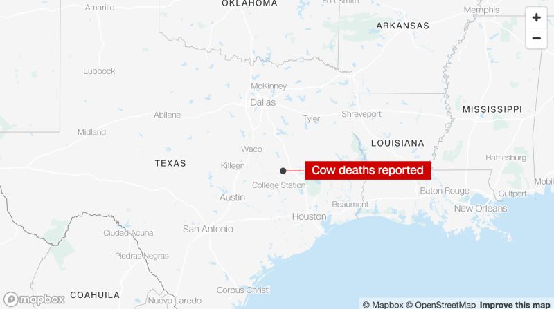 6 cows in Texas found dead and mutilated with their tongues cut