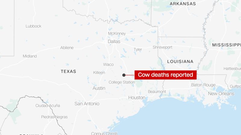 6 cows in Texas found dead and mutilated with their tongues cut out have left police searching for answers | CNN