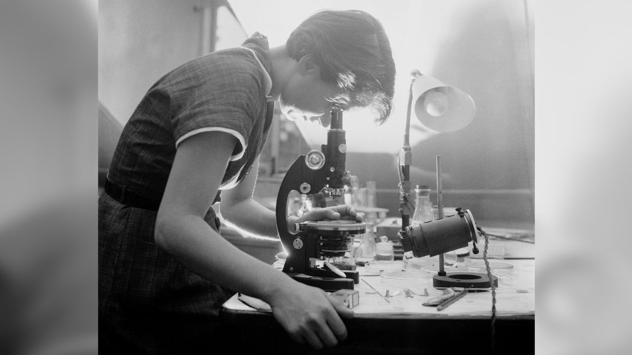 Mandatory Credit: Photo by Henry Grant Collection/Mol/Shutterstock (8443607a)
Rosalind FRANKLIN 1920-1958, biophysicist, chemist at work in a laboratory in London, photo 1954. Her contribution to the understanding of the DNA structure although credit for the discovery went to James Watson, Maurice Wilkins and James Crick, who were awarded the Nobel Prize in 1962
Art (Portraits) - various
Artist: GRANT, Henry (1907-2004, English)
Location: Museum of London