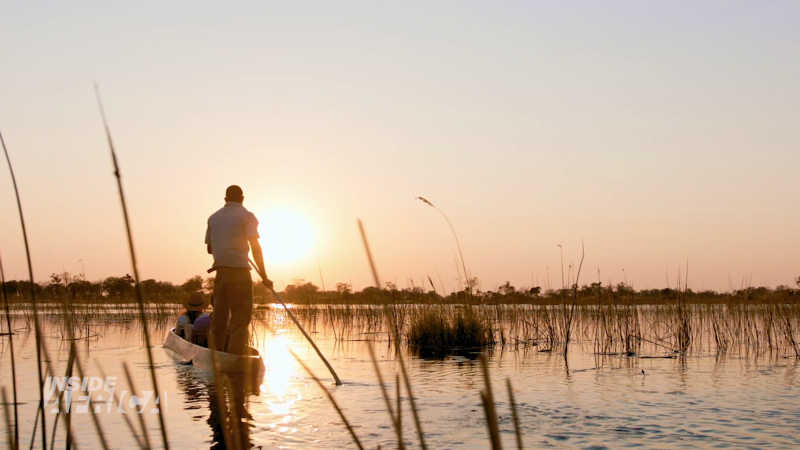 Okavango all-stars: Life inside Botswana's natural paradise