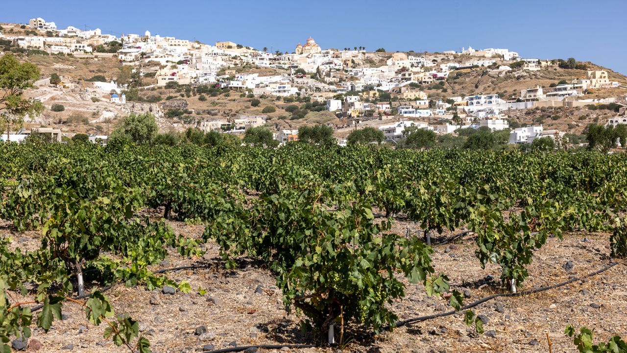 The island is known for its assyrtiko wine, grown in the volcanic soil.