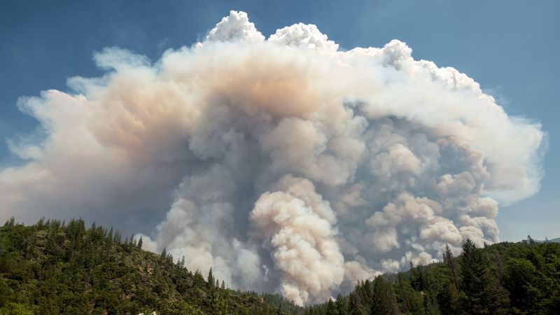 Големите пожари могат сами да определят времето – и то