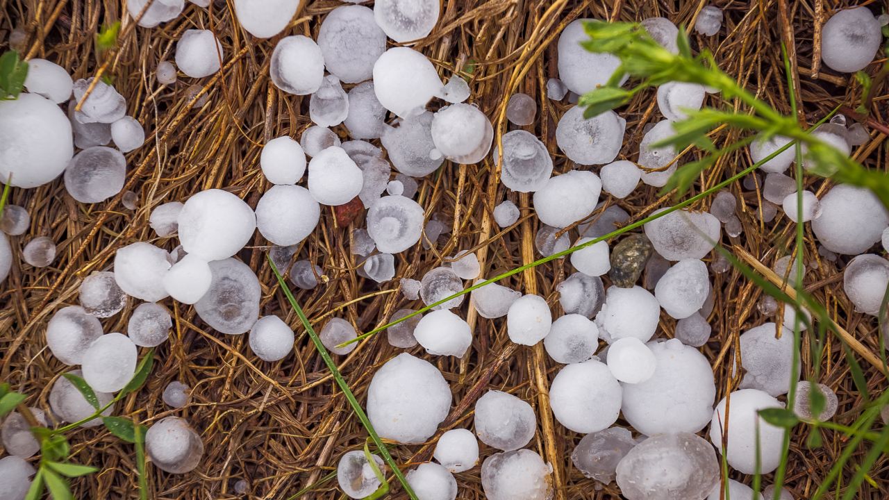 Hailstones sit on the ground after a storm.