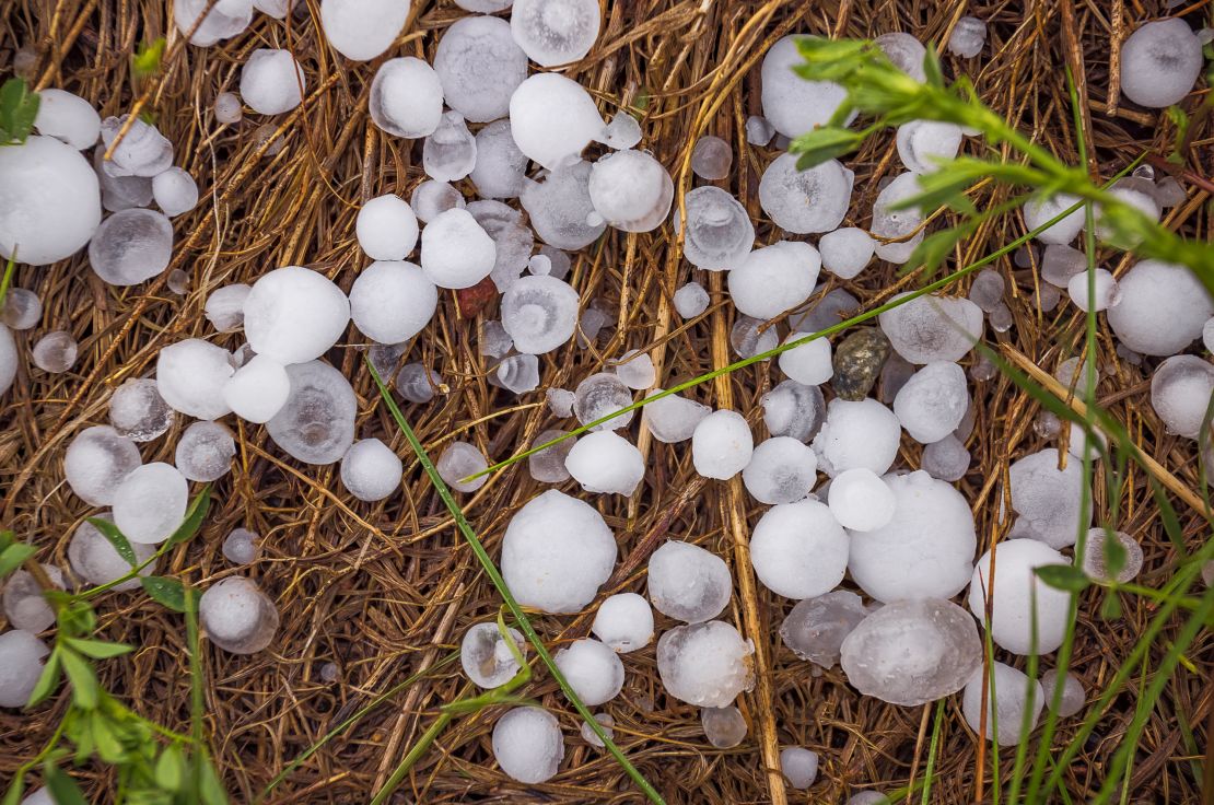Hailstones sit on the ground after a storm.