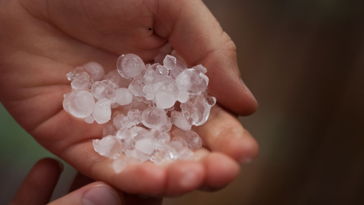 A boy holds hailstones after a storm.