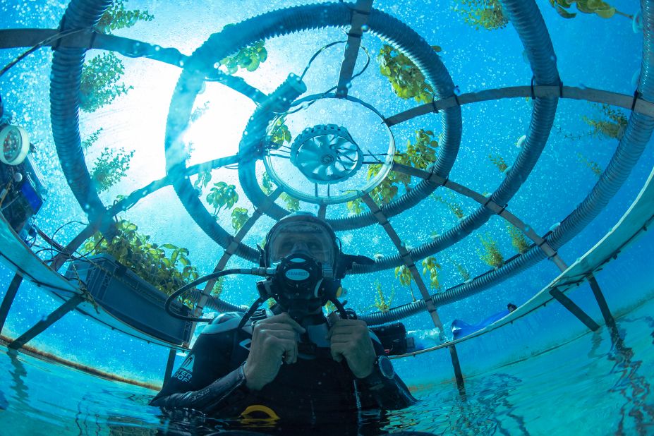 Nemo's Garden is the world's first underwater farm growing terrestrial plants. Fruits, vegetables and herbs are grown in these air-filled biospheres, anchored to the seafloor.