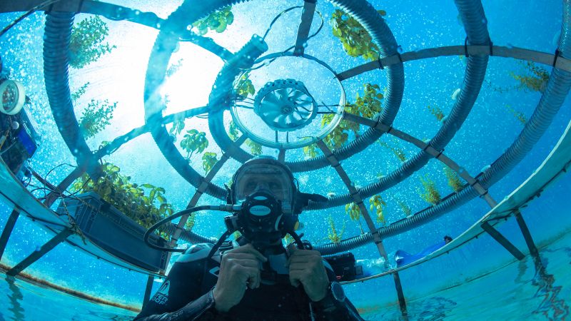 NextImg:Nemo's Garden: The future of farming could be under the sea | CNN