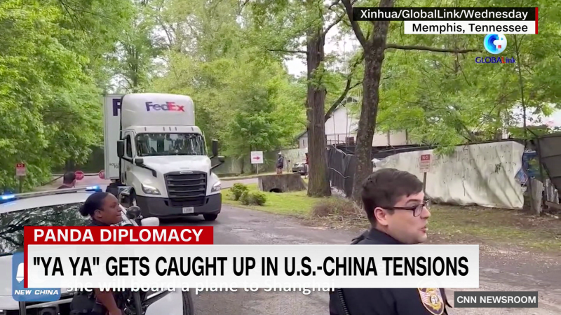 Panda caught up in U.S.-China tensions | CNN