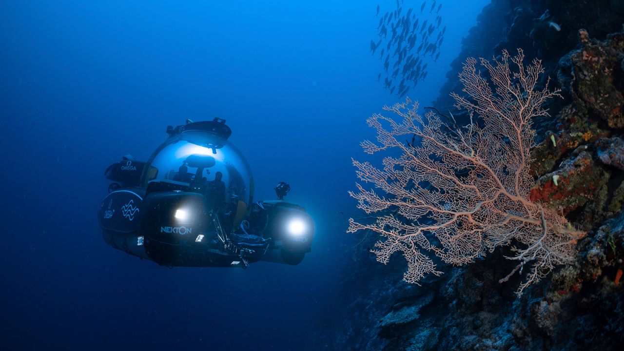 Scientists use deep-sea submersibles to examine coral reefs off the coast of the Maldives in September 2022 as part of a science mission to gain insights on the impact of carbon emissions and overfishing.