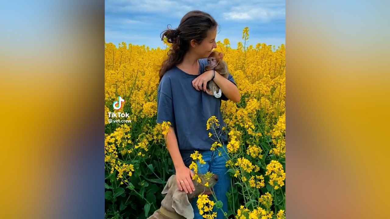 Valentina Stoyanov and her husband decided to stay in Ukraine to care for animals affected by the war