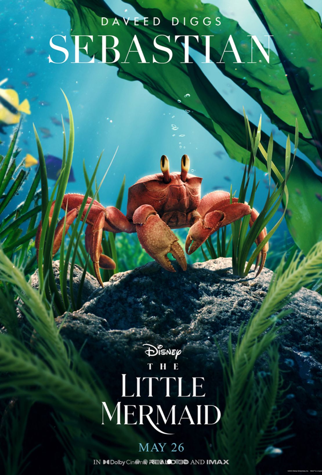 Sebastian's character poster visual for this month's 'The Little Mermaid.'