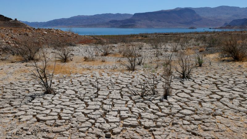 NextImg:Lake Mead remains identified as a Las Vegas man who disappeared 25 years ago | CNN