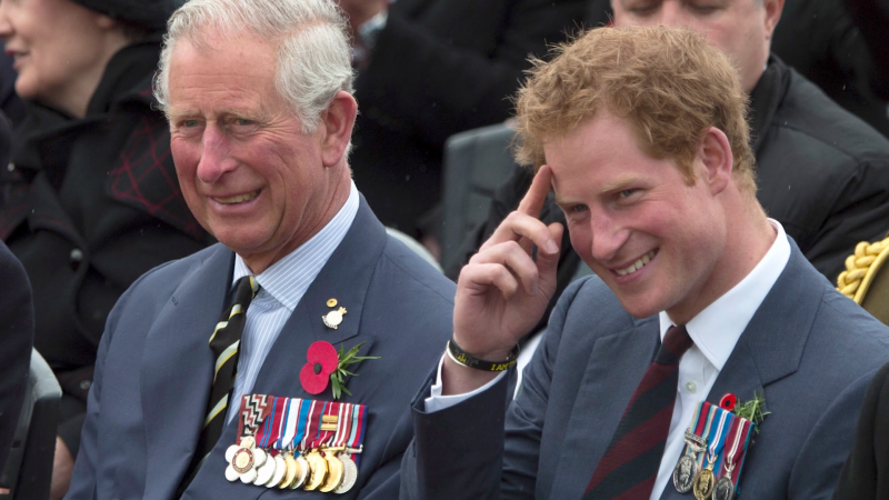 Video: Royals expert draws parallels between Prince Harry and King Charles | CNN