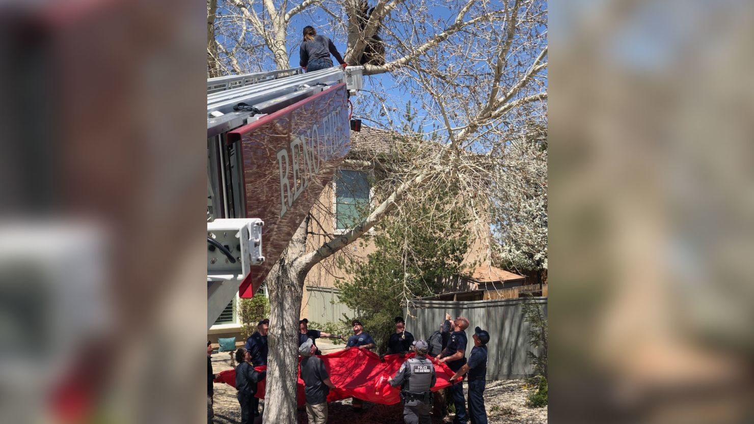 The Reno Fire Department assisted with getting the bear out of the tree, according to a Facebook post from the department.