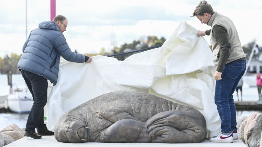 Walrus expert Rune Aae (L) and initiator Erik Holm unveil a bronze sculpture created by artist Astri Tonoian in memory of Freya the walrus, on April 29, 2023 in Oslo, Norway. - Freya gained global attention in the summer of the year 2022 after playfully basking in the Oslo fjord until officials euthanised her. The life-size sculpture depicts Freya lying on her side on the rocky shore of Oslo's Kongen Marina, not far from where the real 600-kilogram (1,300-pound) mammal drew large crowds chasing ducks and swans and sunbathing on boats struggling to support her bulk. (Photo by Annika Byrde / NTB / AFP) / Norway OUT (Photo by ANNIKA BYRDE/NTB/AFP via Getty Images)