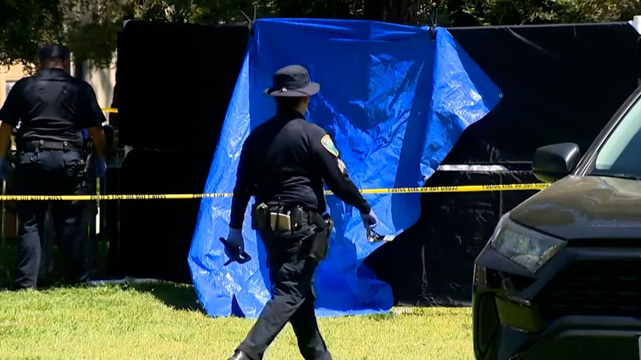 Police work the scene of a stabbing in Davis on April 27.