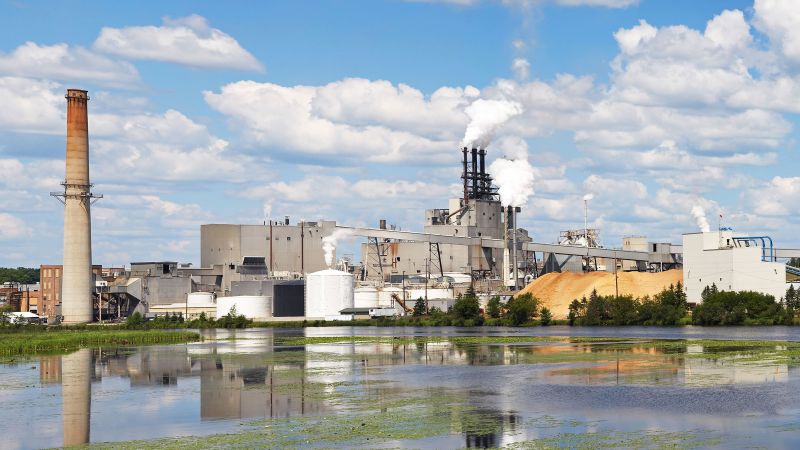 NextImg:More than 100 cases of rare fungal infection linked to Michigan paper mill | CNN