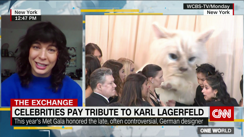 Met gala 2023: Feline fashion and controversy | CNN