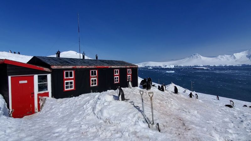 Port Lockroy, Antarctica: See what it takes to run a remote post office surrounded by penguins | CNN