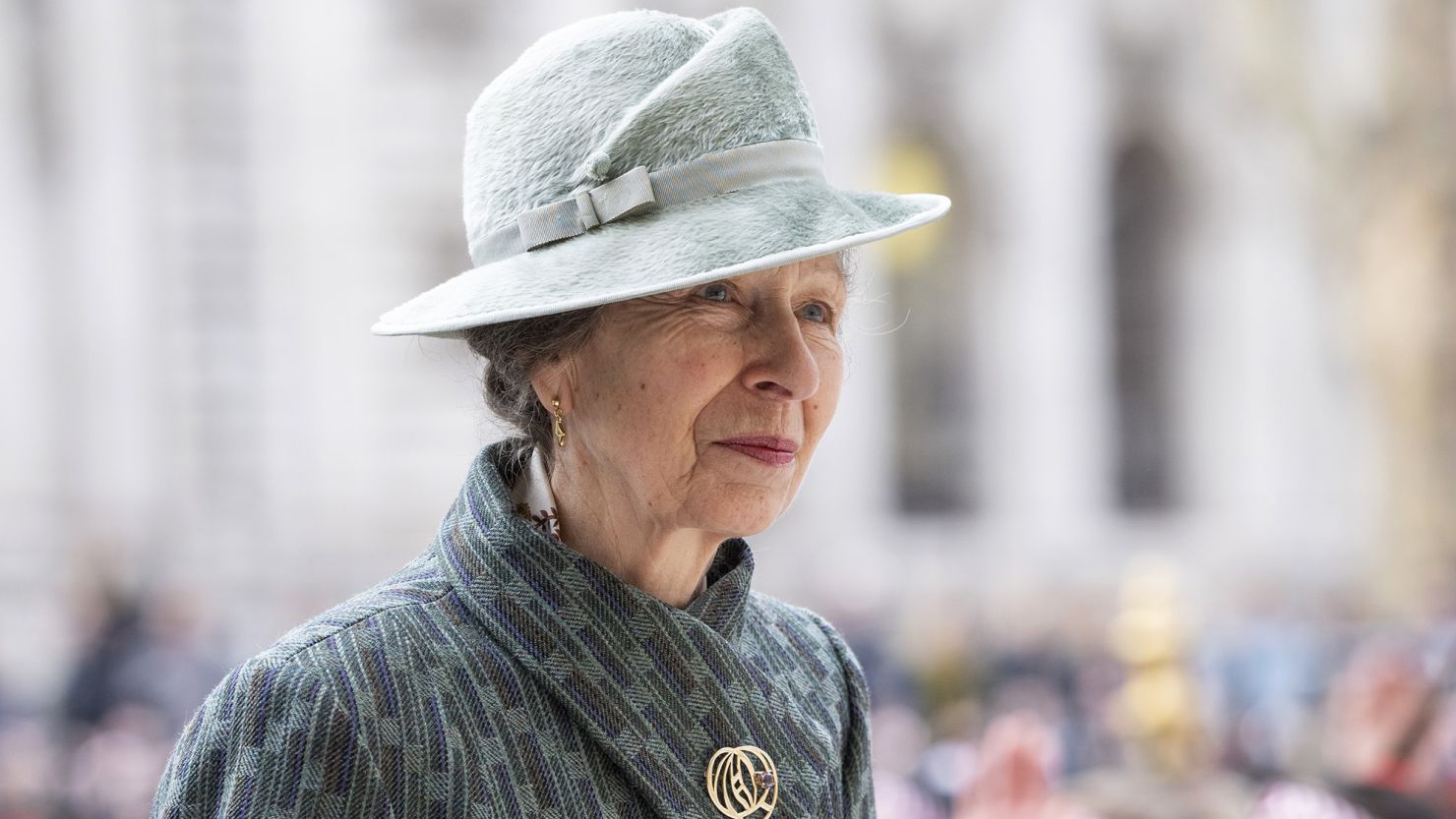 Princess Anne: Slimmed-down royal family 'doesn't sound like a good idea' |  CNN