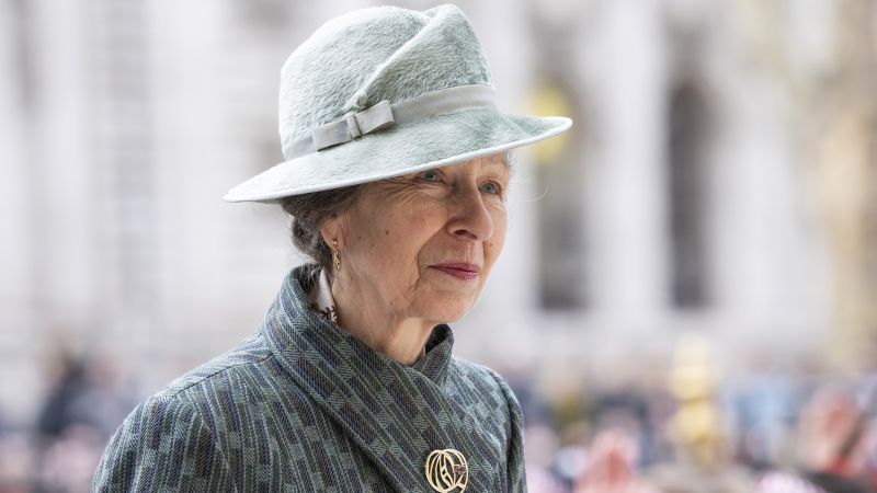 NextImg:Slimmed-down royal family 'doesn't sound like a good idea,' Princess Anne says | CNN