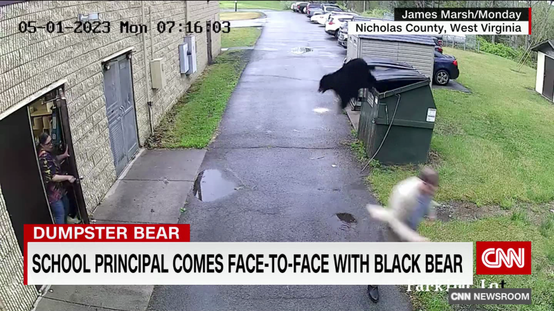 School principal comes face-to-face with black bear | CNN