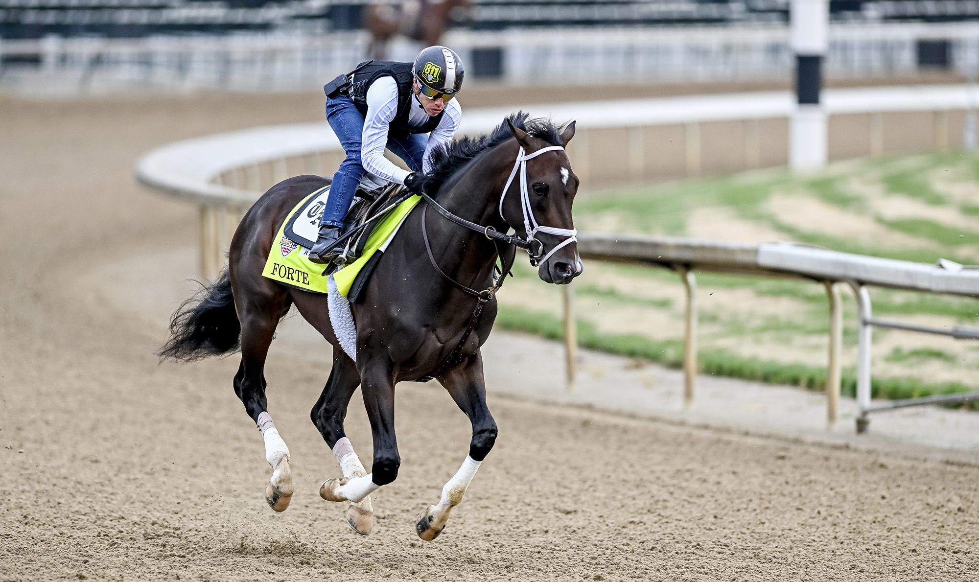 Kentucky horse picks Eagles to win Super Bowl