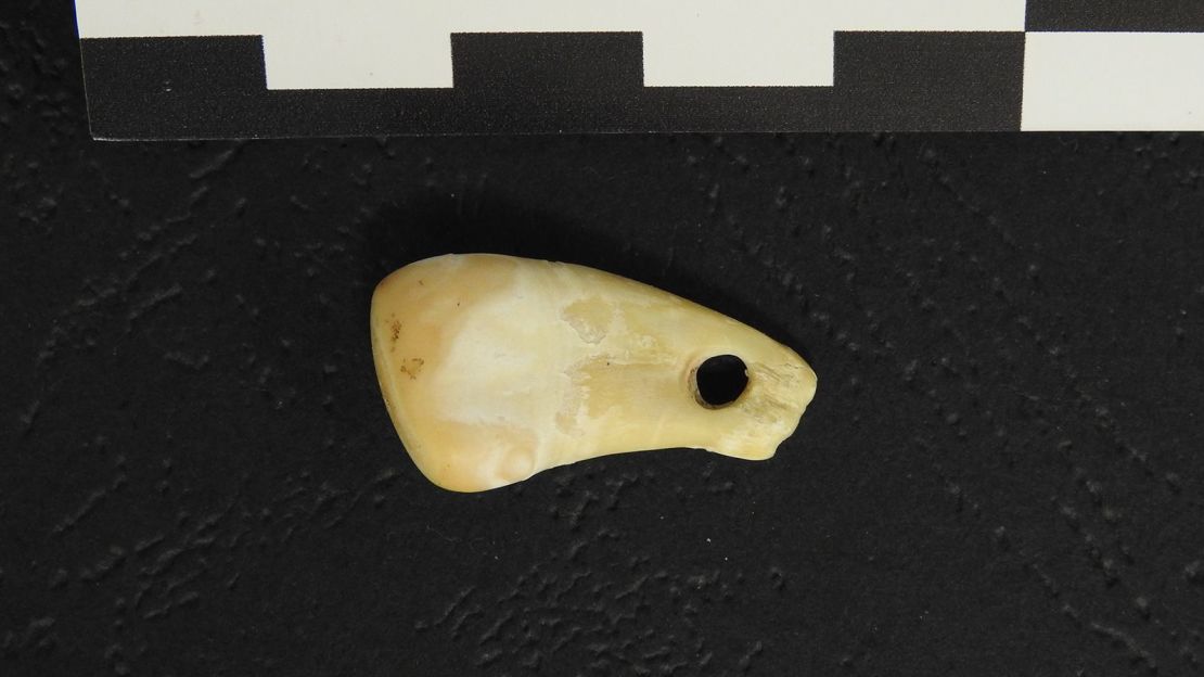 The deer tooth pendant contained DNA left by its wearer.