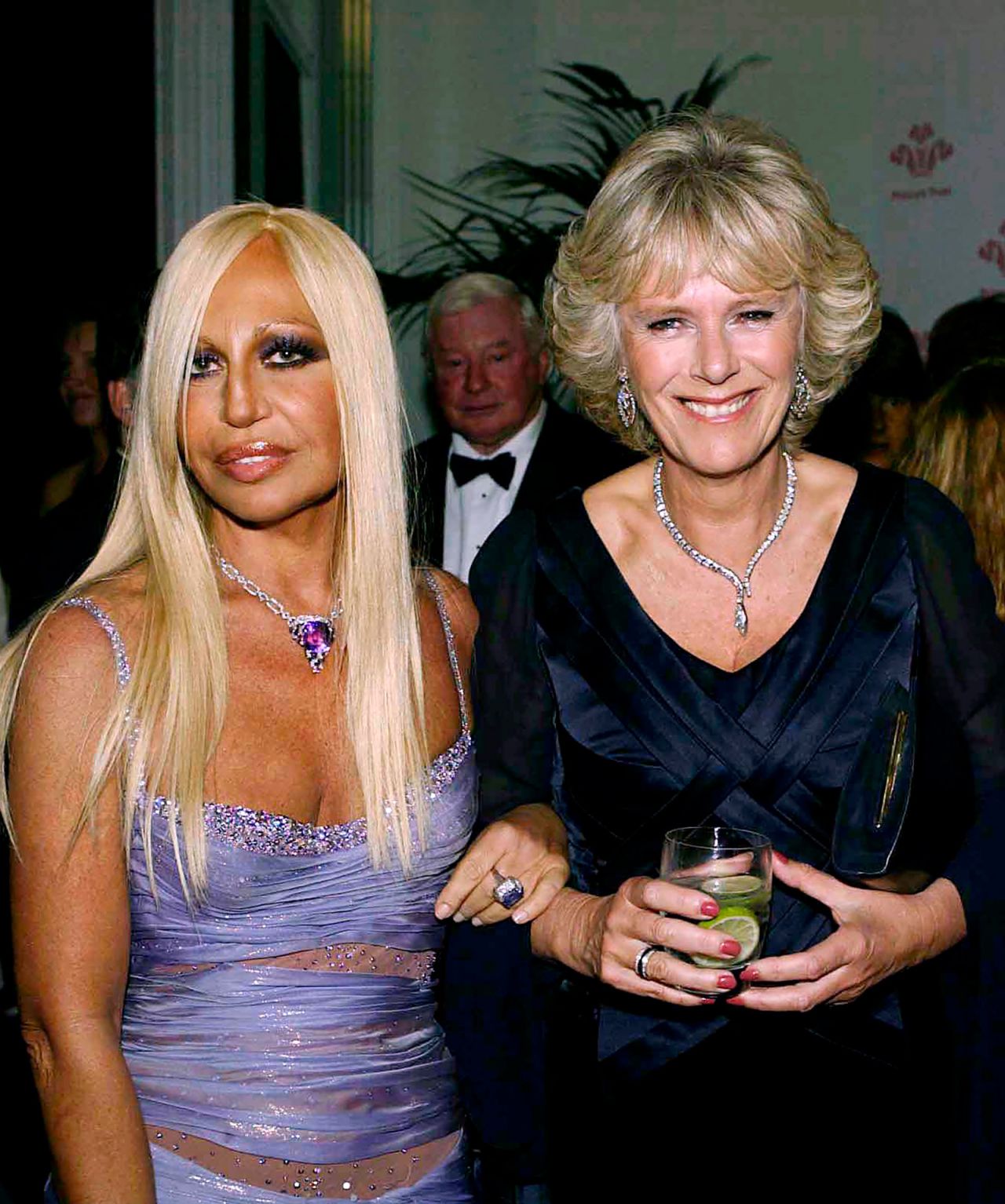 In 2003, while attending yet another fashion event (this time, the Prince's Trust "Fashion Rocks" concert at Royal Albert Hall) Camilla is photographed meeting industry legend Dontella Versace. She wore her trusty diamond serpentine necklace once again.
