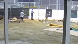 FL father punches umpire baseball