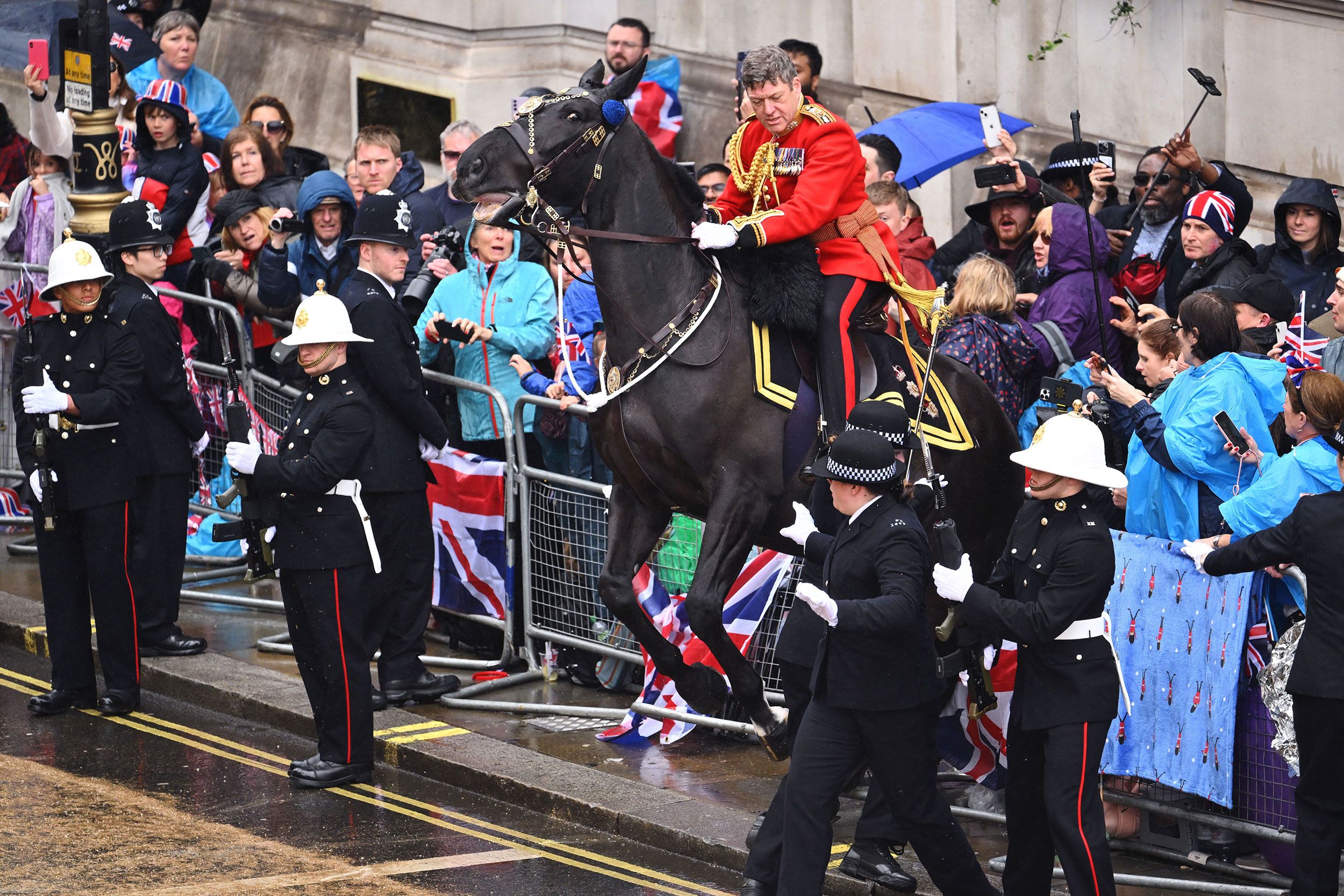 A horse rears back into a crowd during the procession.