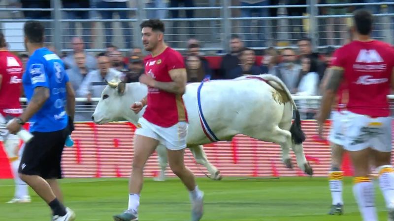 Players forced to run for cover as raging bull creates havoc at a rugby league match in France CNN