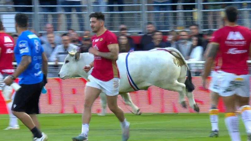 NextImg:Players forced to run for cover as raging bull creates havoc at a rugby league match in France | CNN