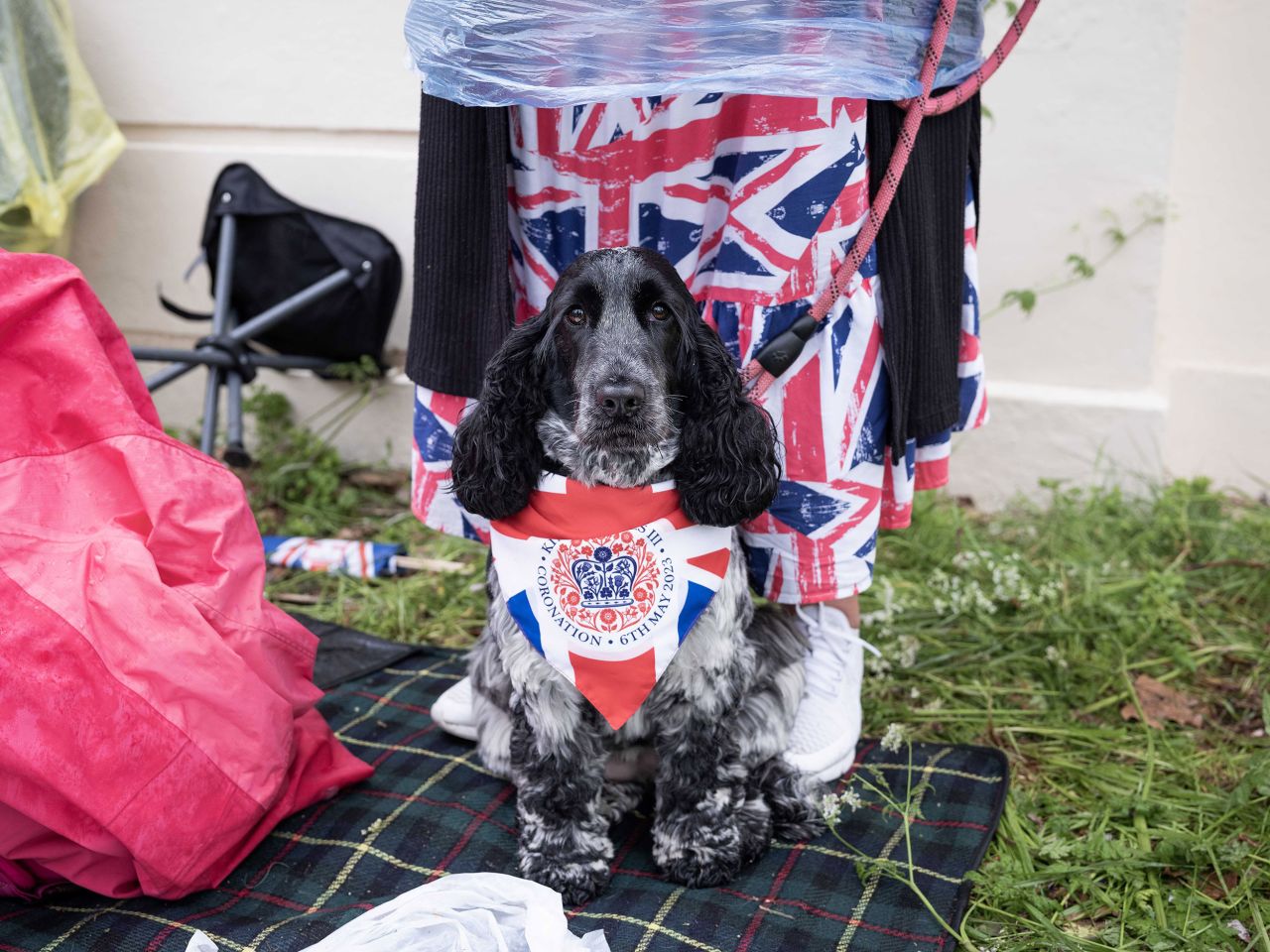 Tilly the dog wears a special bandana for the coronation. "It's damp but we wouldn't have missed it," said Tilly's owner, Helen. "It's only the Brits that do pomp and ceremony like this."