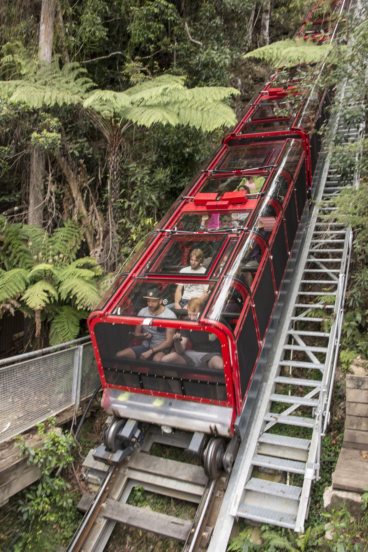 <strong>Katoomba Scenic Railway, Australia: </strong>This railway delivers a thrilling descent down sandstone cliffs and through epic rock formations and tunnels perched over a stunning rainforest landscape. 