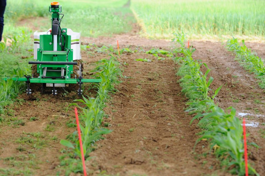 Weeding robots could reduce the need for farm workers, and allow precision protection of crops. Pictured, a weeding robot at an agricultural research farm in eastern France. 