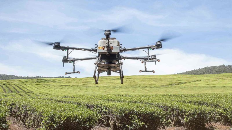 NextImg:Six innovations that can help feed the world | CNN