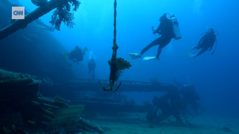 Exploring The Underwater Wonders Of The Red Sea | CNN