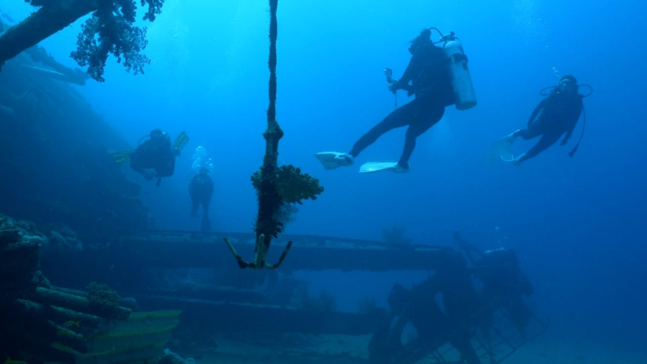 saudi red sea diving