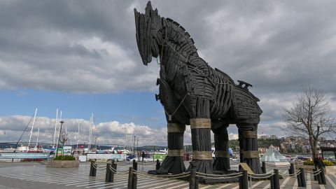 Trojan horse tz