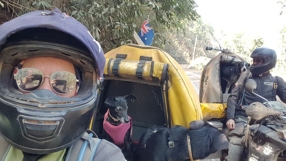 <strong>Road trip: </strong>Australian couple Janell and Stu Clarke are riding around the world on motorcycles with their three rescue dogs, Shadow, Azra, Weeti, in tow.