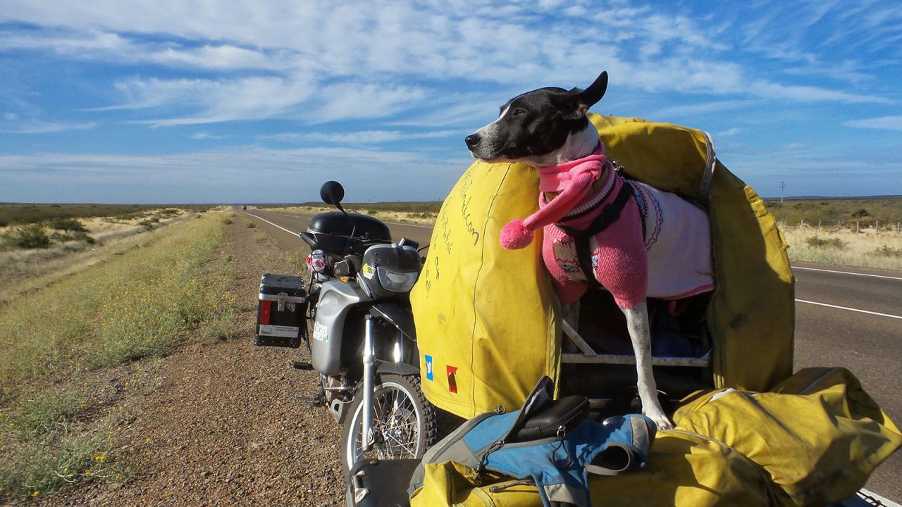 The pair, who have been on the road for nearly ten years, picked up disabled dog Weetie in Venezuela in 2014.